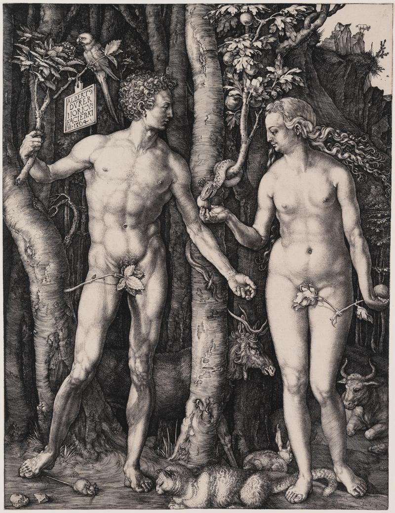 Albrecht Dürer, Adam und Eva, 1504