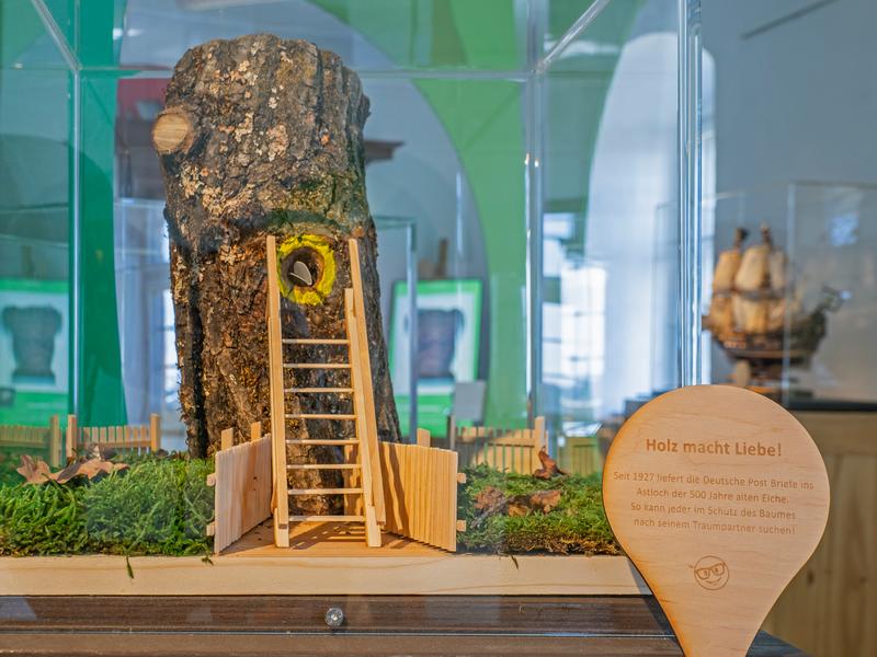 Ein Blick in die Ausstellung „Holz macht Sachen“ auf Burg Abenberg