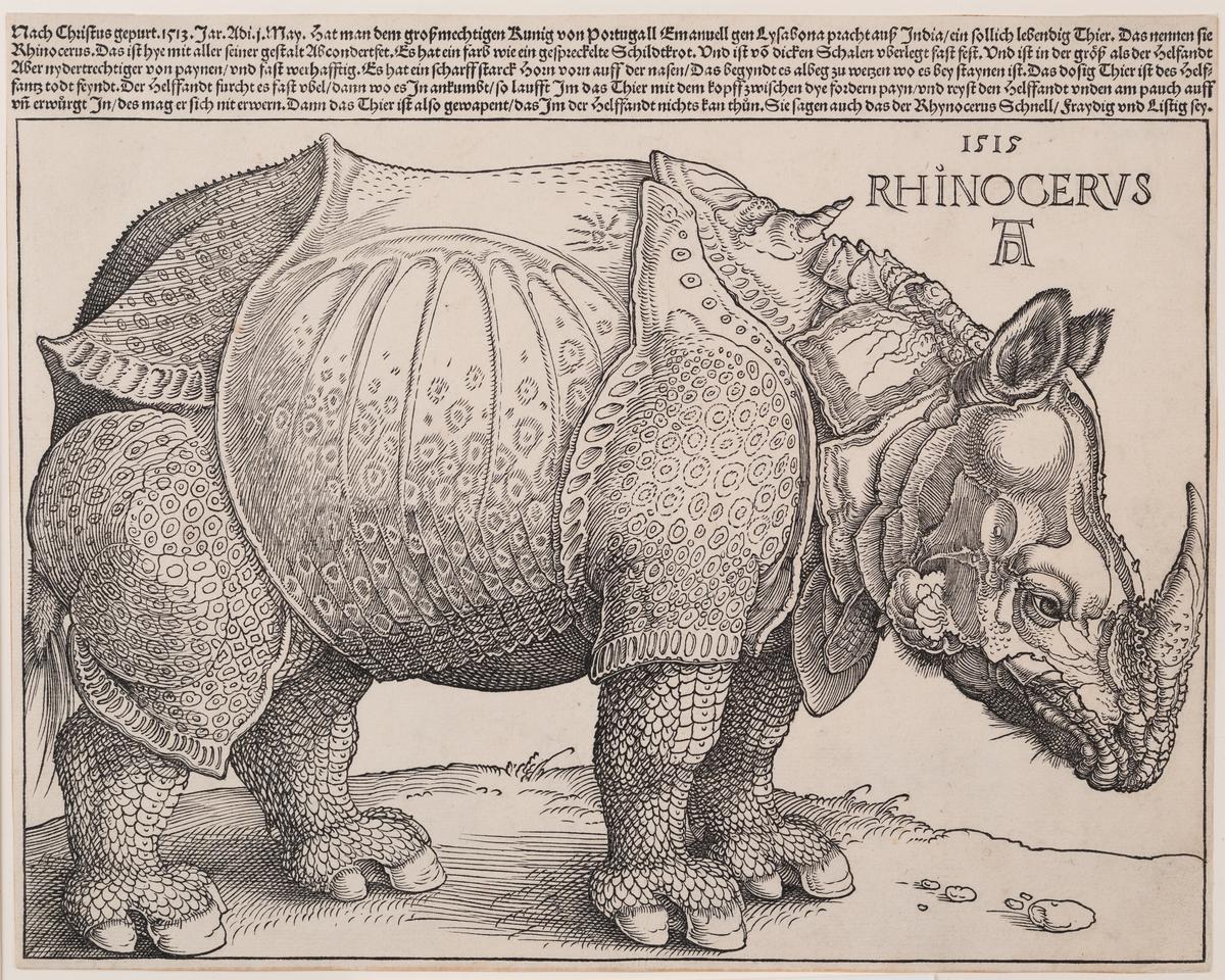 Albrecht D&uuml;rer, Rhinocerus, 1515
