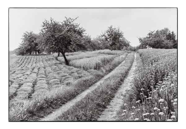 Valentin Schwab, Feldweg, Rohrbach 1992, Valentin Schwab-Archiv, Karlstadt 
