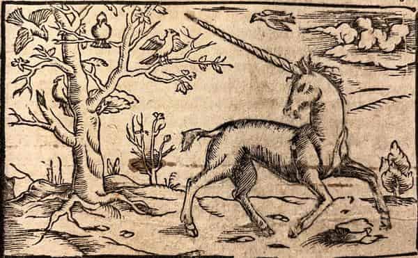 Einhorn-Darstellung aus dem 16. Jahrhundert: Ein Blatt der „Kosmographia“ des Sebastian Münster. 