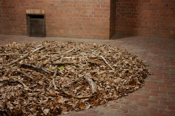 Ein Blick in die Ausstellunge con Herman de Vries im Bamberger Kesselhaus