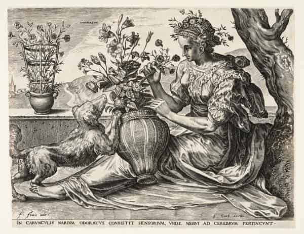 Cornelis Cort nach Frans Floris, Der Geruch, aus: Die Fünf Sinne, 1561.