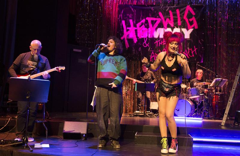 Das Theater Hof gastiert mit „Hedwig and the Angry Grinch“ am Theater Schweinfurt