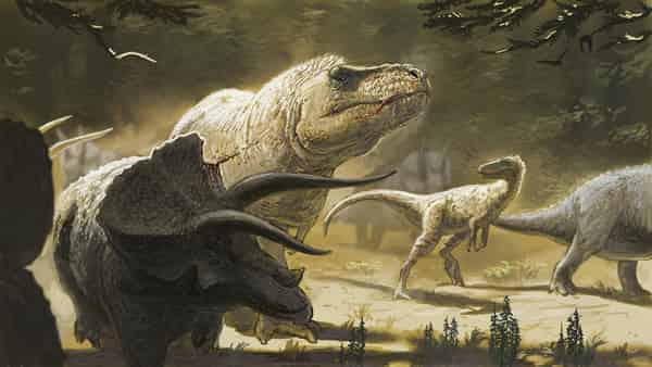 Sketch eines Tyrannosaurus.