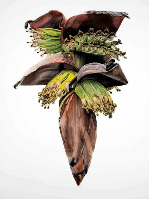 Katja Katholing-Bloss „Banana rama“ 
