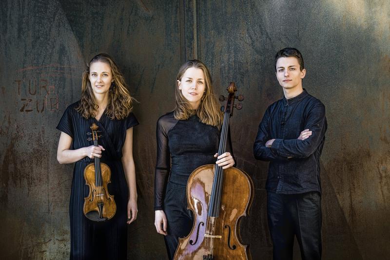 Das vielfach ausgezeichnete Amelio Trio ist am 15. Oktober in Bamberg zu Gast