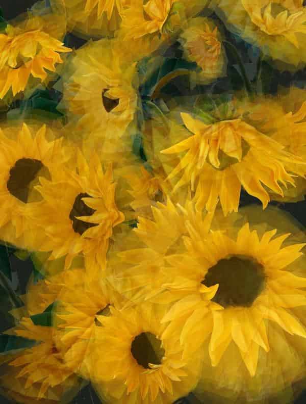Sommer in Simulacrum I