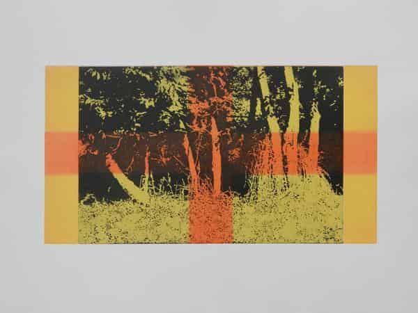 Peter Schoppel, Waldrand I, Radierung, 27 x 50 cm, 2021