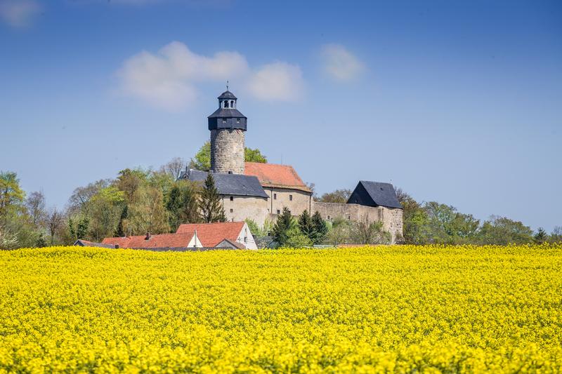 Hoch oben thront Burg Zwernitz