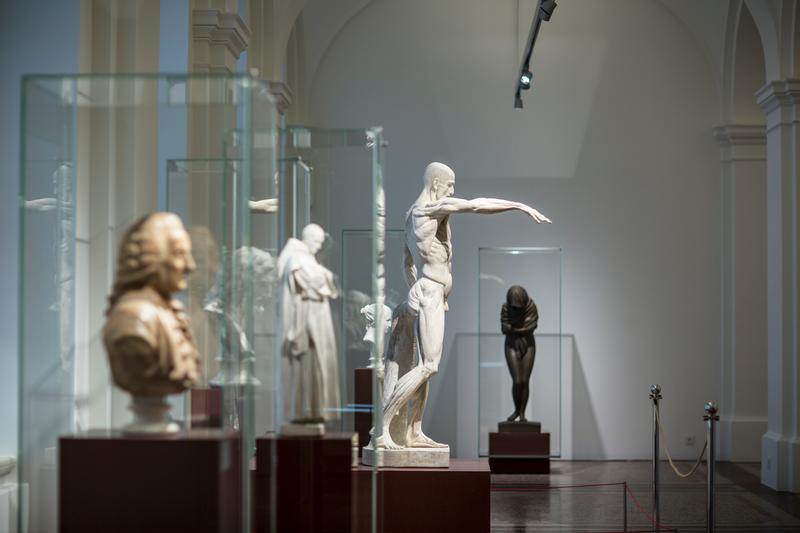 Skulpturen von Jean-Antoine  Houdon im Herzoglichen Museum Gotha