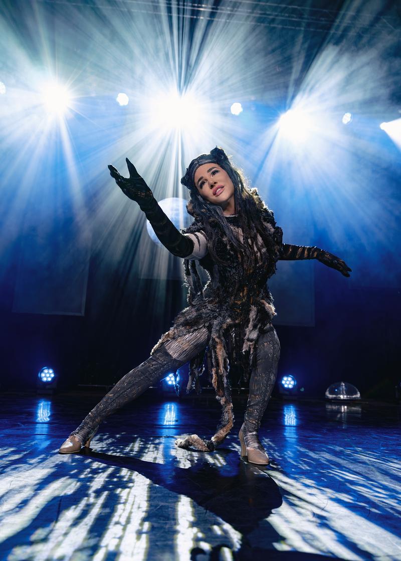 Die Nacht der Musicals