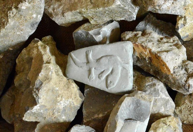 In Eibelstadt wird zur Weinbergsführung geladen