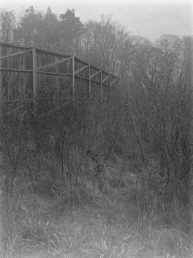 Rebecca Schwarzmeier folgt Autobahnen und Wildbrücken in Polen und Deutschland