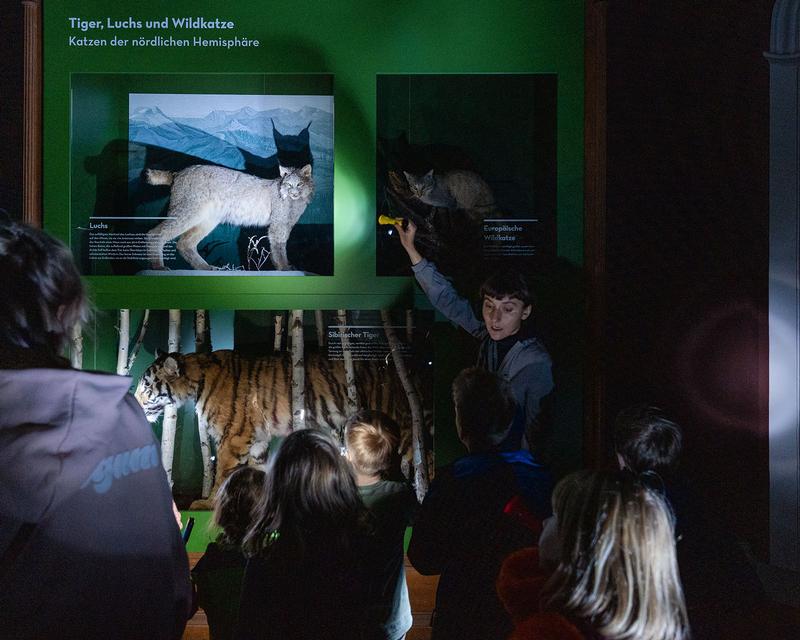 Führungsangebot bei der Museumsnacht