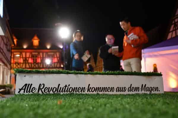 hin&herzo, Revolutionsrasen