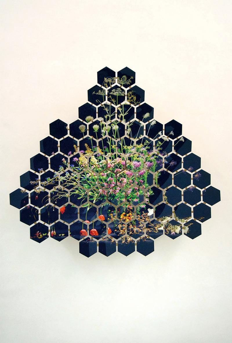 Hiroyuki Masuyama, Still life No 02, 2011 Fotografie auf Holz