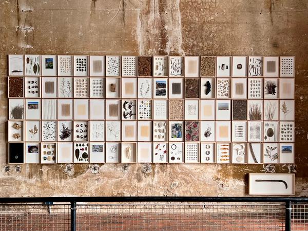Ein Blick in die Ausstellunge con Herman de Vries im Bamberger Kesselhaus