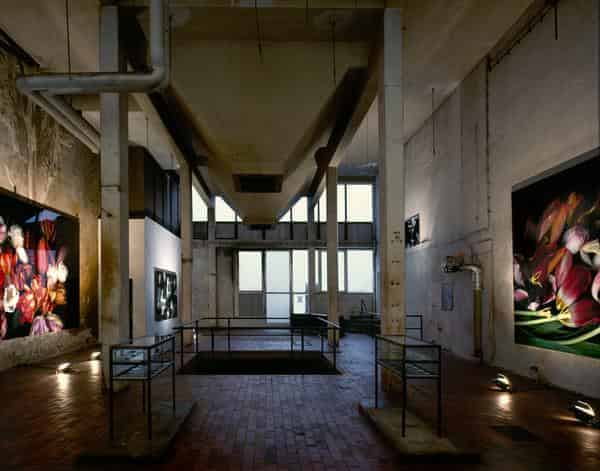 Großformatige Tulpenscanogramme im Kunstraum Kesselhaus von Luzia Simons anlässlich der Ausstellung des Kunstvereins "Fremde Gärten", 2012 