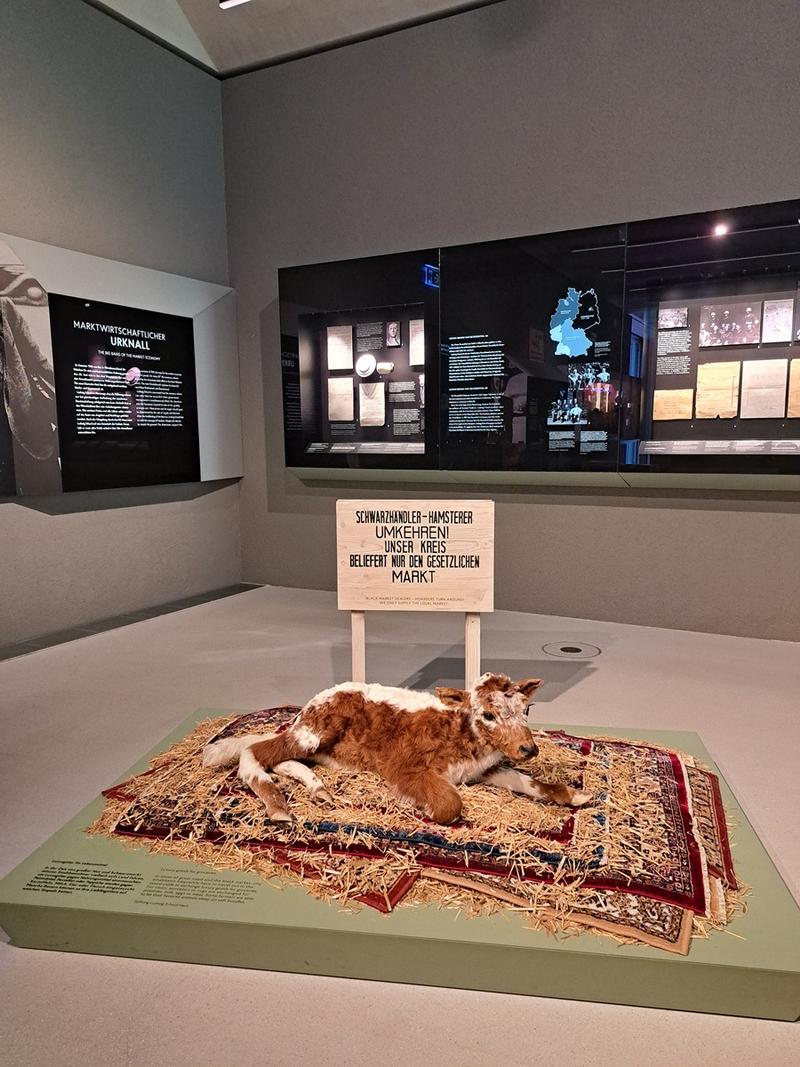 Impression aus der Dauerausstellung im Ludwig Erhard Zentrum
