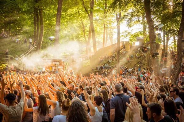 Impression WaldLicht-Festival 2024