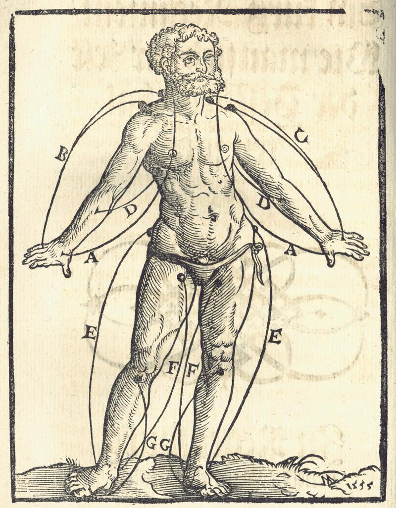 Unbekannt: Illustration des Aderlass, Buchholzschnitt für: Ein kurzes Regiment, wie man sich zur Zeit der Pestilenz halten soll, Regensburg, um 1562