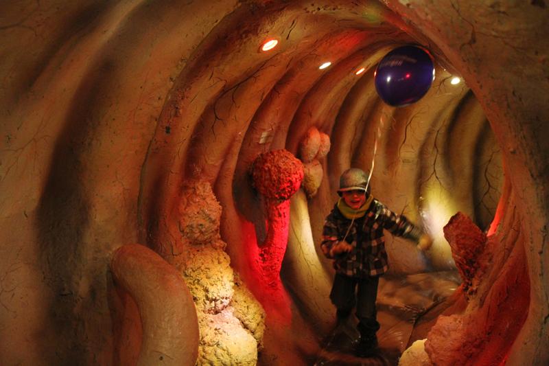 Lange Nacht der Wissenschaften: Begehbares Organ