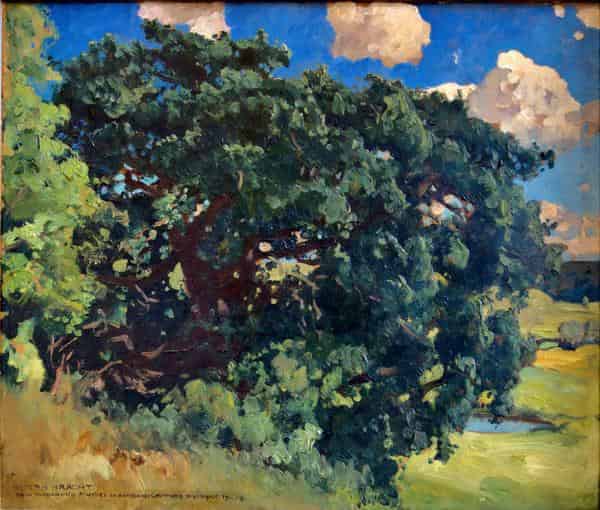 Eichen am Stargarder Burgwall in Mecklenburg, 1912/13, Öl, Lwd., Privatbesitz