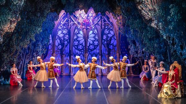 Szene aus dem Ballett „Schwanensee“