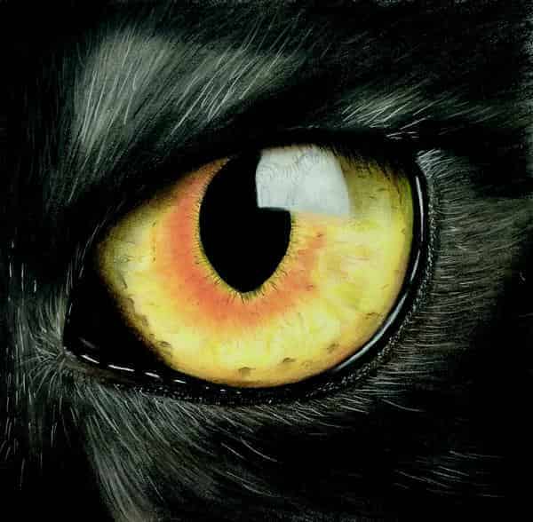 Mo Schweizer, Im Auge des Betrachters 3-Beute, Pastellkreide