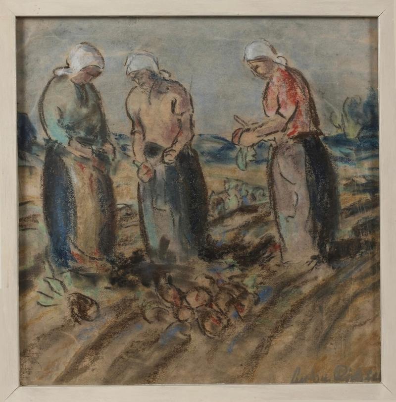 Anton Richter: Steckrübenernte