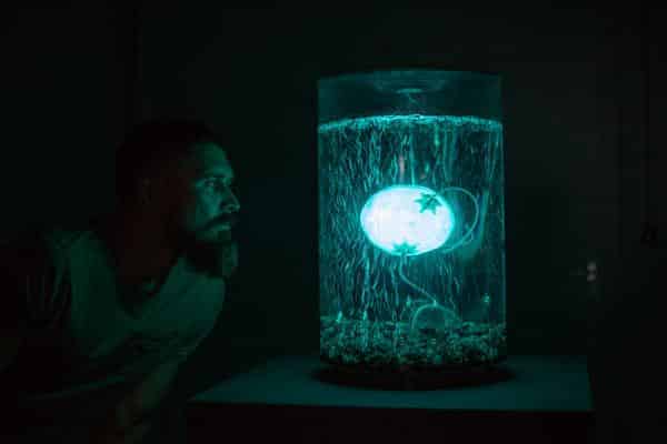 Anna Dumitriu & Alex May in Kollaboration mit Amanda Wilson, "ArchaeaBot: A Post Climate Change, Post Singularity Life-form", 2018/2019 