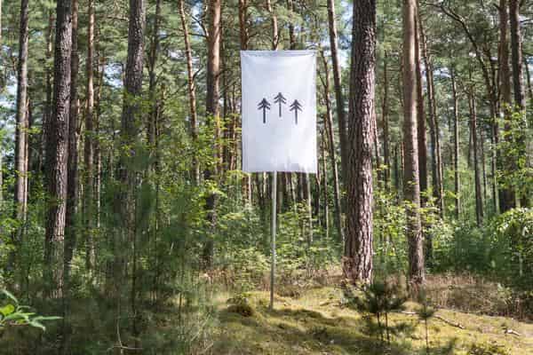 "terra0 – Prototype for an augmented forest", 2016