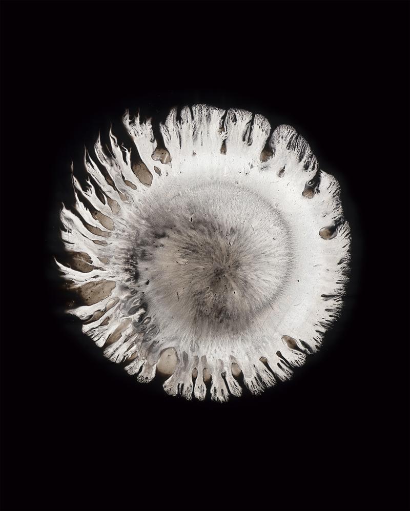 Thomas Michel, Pulsar