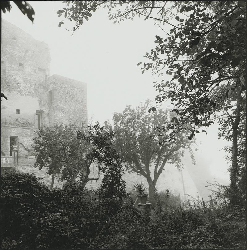 Aussichten, 2016