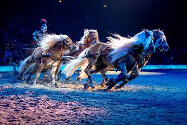 CAVALLUNA, Welt der Fantasie