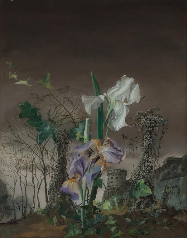Wolfgang Lenz, Iris mit Maschikuliturm, 1989-90